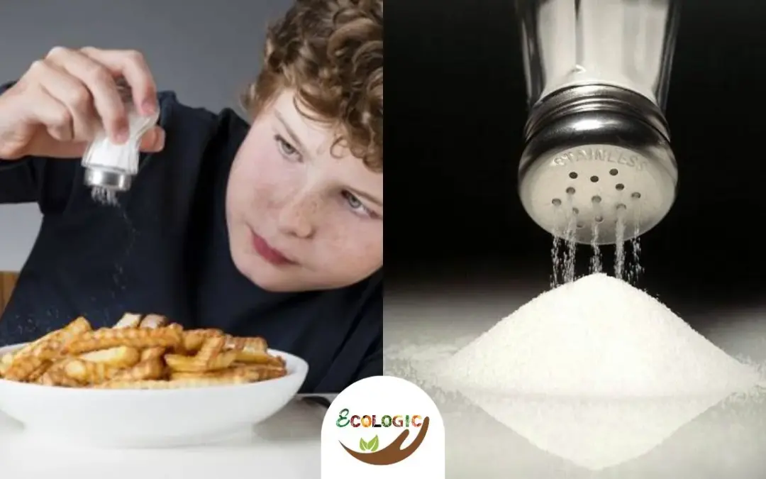 Reducir el Consumo de Sal: Guía para una Dieta Saludable y Equilibrada
