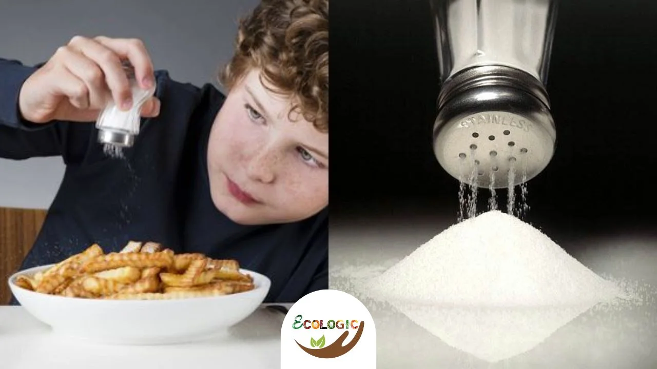 Reducir el Consumo de Sal: Guía para una Dieta Saludable y Equilibrada