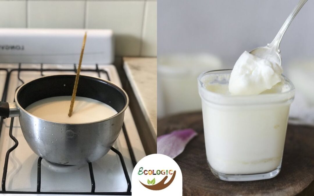 Cómo hacer yogurt natural en casa