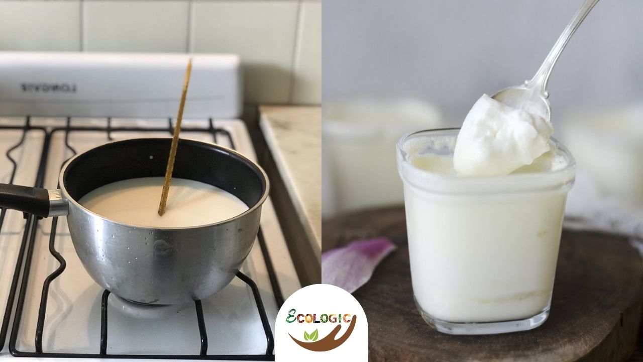 Cómo hacer yogurt natural en casa