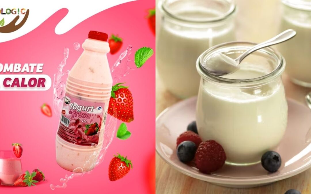 Yogurt Natural: Todo lo que necesitas saber